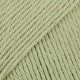 31 pistachio